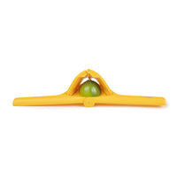 Exprim Fold